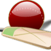 Net Cricket