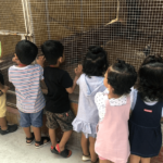 Pineapple Nest Cooking Activity