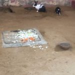 Pineapple Nest Cooking Activity