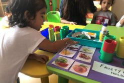 Craft Activity-1