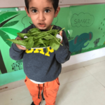 I Can Eat A Whole plant