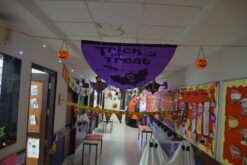 Halloween Celebration￼￼