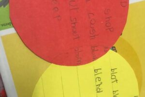 Students illustrated the relationship between a group of different things through Venn diagram