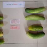 Students learned and mastered doubling facts-9