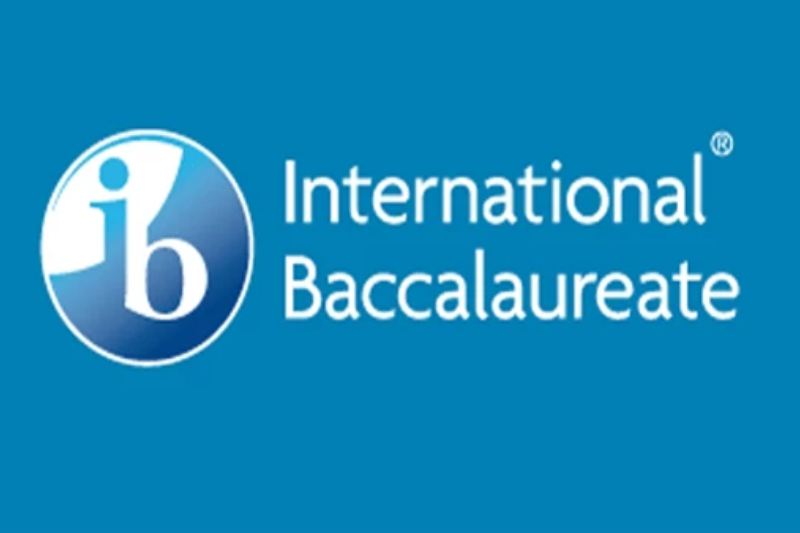 IB-Video-Overlay