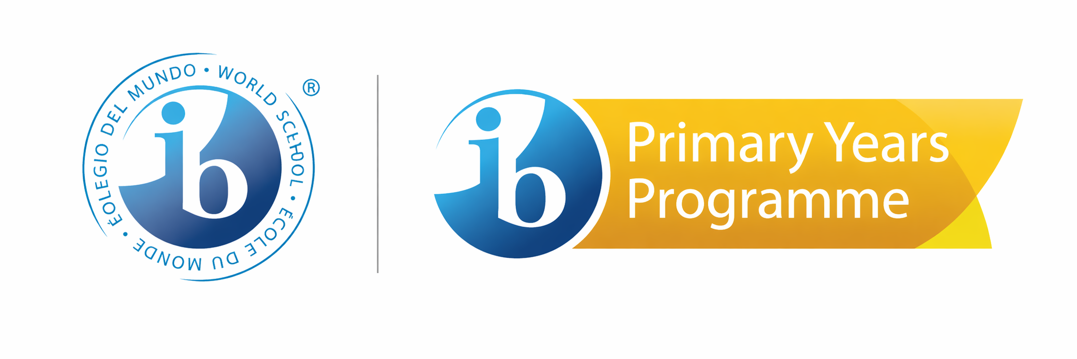 top ib school gurgaon