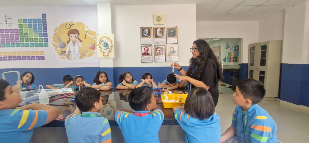 Grade 3 – Science Experiment